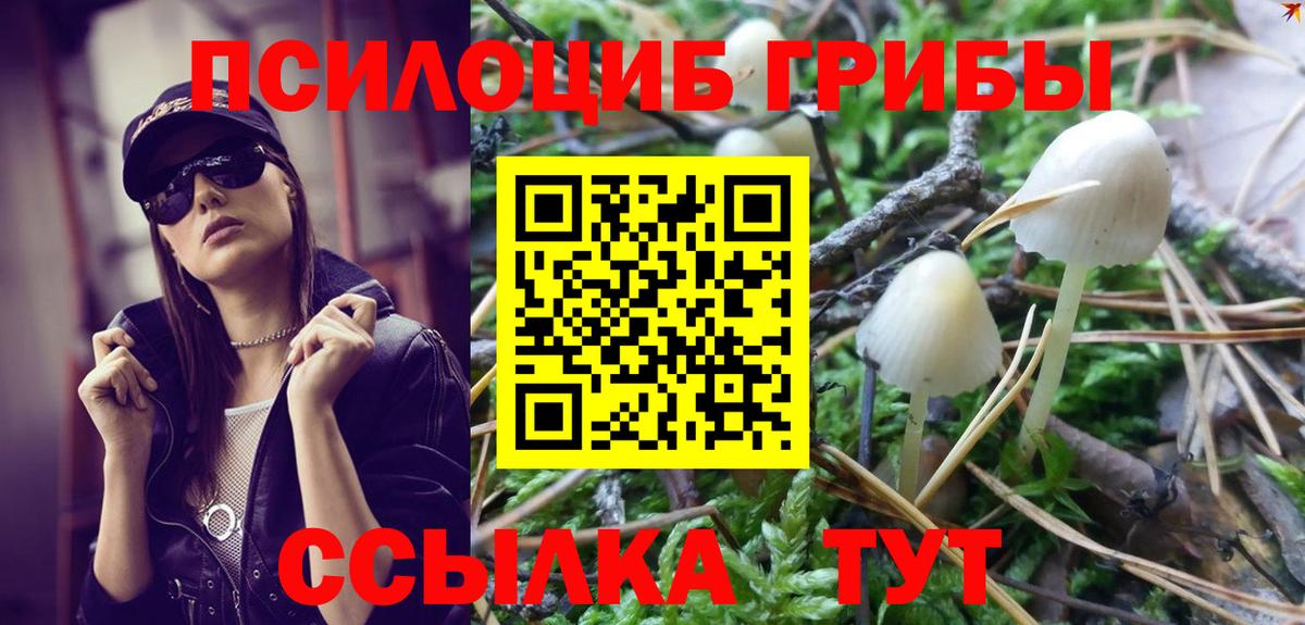 Галлюциногенные грибы Psilocybine cubensis Кушва