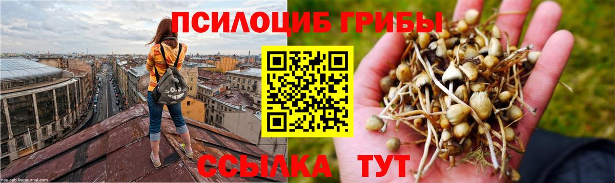 Кушва  Галлюциногенные грибы Psilocybe  Вход с VPN 