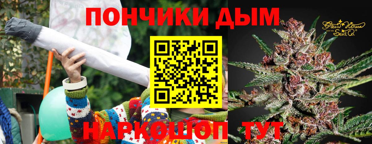 Канабис гибрид Кушва